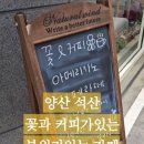 바즈플라워 이미지