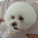순이살롱 이미지