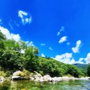 뱀사골슈퍼 | 지리산 뱀사골1야영장 3번..2박 3일(25.8.14~8.16)후기...계곡과 숲이주는 선물같은 캠핑!!