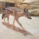 테이블에이 이미지