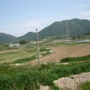 영광 대마 성산리 지석묘군 | 전라남도 기념물 제228호 영광대마성산리지석묘군 (靈光大馬城山里支石墓群)