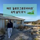 슬로우그로우라이프 | 슬로우그로우라이프 | 제주 독채 풀빌라 추천! 제주 협재의 감성적인 민박 숙소