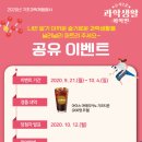 슬기로운 과학실험 이미지