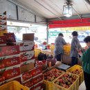 진하농장 이미지