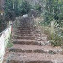 제주리움 이미지