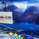 노량진수산 <b>노량진</b><b>수산</b>시장 맛집 땅끝마을 대방어회