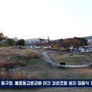 대구 동구, 불로동고분군 야간 경관조명 설치 경북포털TV 손중모기자 이미지