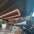 원트피티 이미지