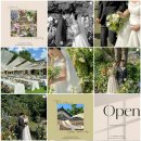 [Wedding] #12 수원 경기교총웨딩 본식 아이폰스냅 &lt;비밀의화원 &gt; 계약 후기🍀💚