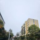 탑사이버pc방 | 67-75 롤드컵결승뷰잉파티 비우비우마라탕/파리마스터스결승/ravioli du sichuan 파리오페라발레...