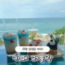 댕댕스토리 | 포항바닷가카페 오션뷰커피숍 러블랑