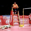 타이시즌 이미지