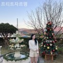 프티트자르뎅 이미지