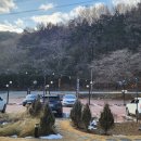 김제 카페 우연하게도 N번째 화덕피자 먹방 후기