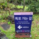 천지연 관광지관리사업소 주차장 | 천지연폭포 제주여행 필수코스! 입장시간, 입장료, 주차, 야간개장까지 직접 가본 후기