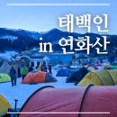 모텔돼지꿈 | 태백인 in 연화산 백패킹 행사 다녀왔습니다