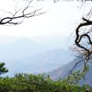 만대산 이미지