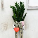 덴탈더드림 | [토리덴탈 일상] 치과 확장 개원 축하 화환 전달 후기