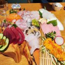 다다하다 장산점 | [해운대 우동] 해리단길 숙성회 맛집 " 으나수키친 두 번째 이야기"