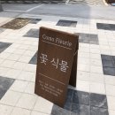 꼬모플레리 이미지