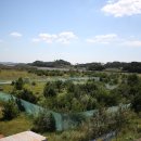 레포츠코리아 이미지