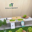 샤인커머스