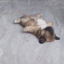 혜성스포츠 | 마음대로 다 될래 말래