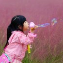 낙동강체육공원 제3주차장 이미지