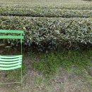 향기가득길 이미지