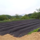 지인농장2 이미지