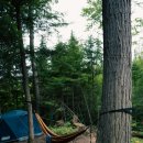 자연과 함께하는 하룻밤 이미지