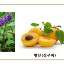 천조식품 이미지