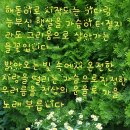 노사부 이미지