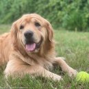 그녀의 부엌 이미지