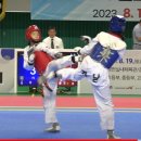 화성3태권도 체육관 이미지