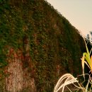 그 해 가을 이미지