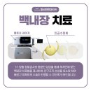 미시안안과의원 이미지