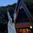 별을 담은 숲 이미지