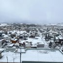 산계2 | 홋가이도 여행 [4] 렌터카 없이 떠나는 비에이 자유여행: 뚜벅이를 위한 비에이역 주변 완벽 공략집