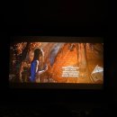 주연이네끼니 | 우리는 모두 시궁창에 있지만 그중 누군가는 별을 바라보고 있다.