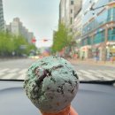 보니봉봉 - 용인시 기흥구 | 보니봉봉