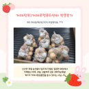 GS25거제아주로점 | [거제정보] 거제 로컬푸드 직매장 반값 Day 시작!(feat. 실방문후기, 장보기꿀팁까지..!!)
