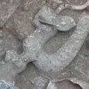 사천성 고고학 발견 : 삼성퇴에서 용두호뇌 청동기가 출토되었습니다! 이미지