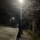 진도야족발 이미지