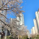 역삼아이파크 아파트 임장과 실제 입주, 거주 후기 (부득이 내년까지 2주택자 절세로 처분해야 아쉬움과...