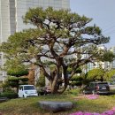 장항고등학교 이미지
