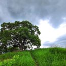 대산북로 이미지