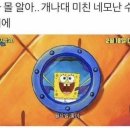 구들마라탕 네이버블로그
