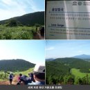 알음알음제주 이미지