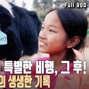 네팔에 간 K-젖소, 엄마가 되다! [#다큐온] | Thank you for coming to our town, Gamsa! | KBS 이미지